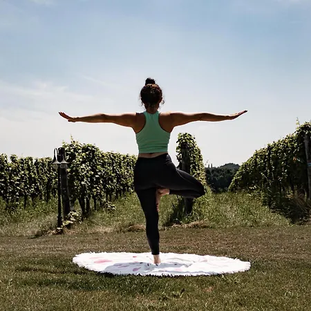 Winzerhof - Deutsch Haseldorf